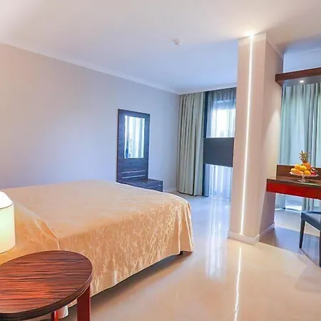 Отель Victoria Palace 4*