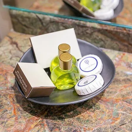 Victoria Palace Hotel 4*